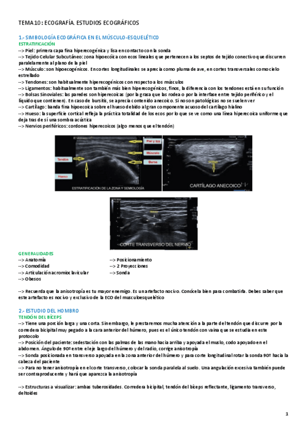 Miniatura del documento TEMA-10.1-RADIOLOGIA.pdf
