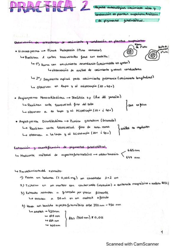 Miniatura del documento Practica-2-Biologia.pdf