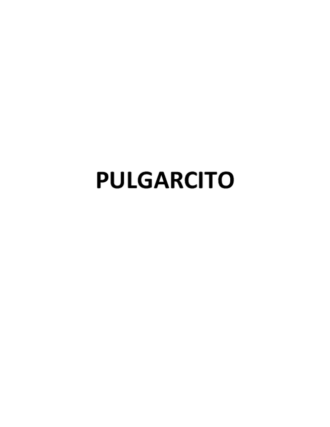 Miniatura del documento pulgarcito.pdf