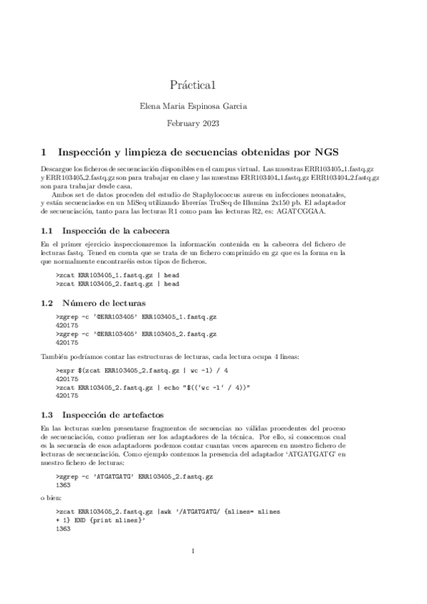 Miniatura del documento ENUNCIADO.pdf