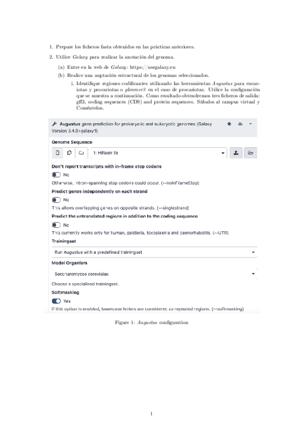 Miniatura del documento ENUNCIADO.pdf