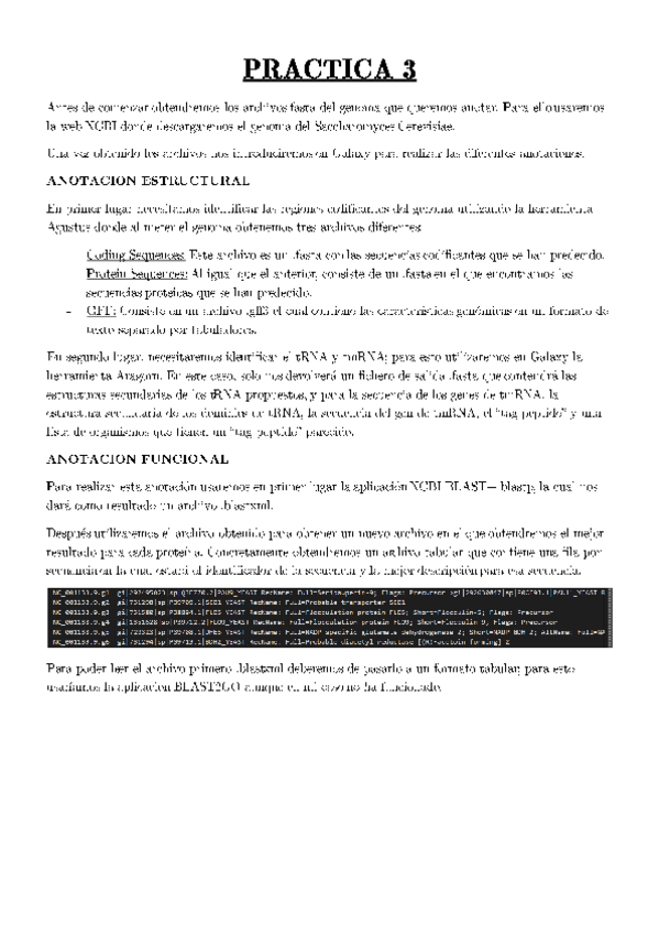 Miniatura del documento PRACTICA-3.pdf