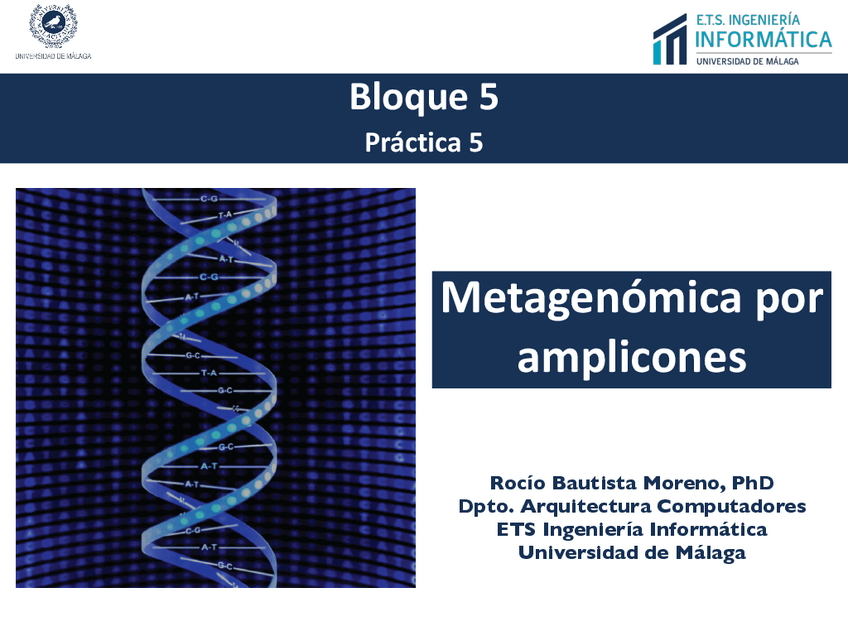 Miniatura del documento ENUNCIADO.pdf