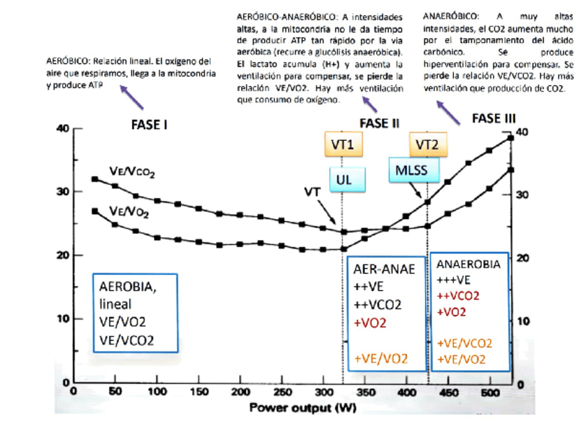 Miniatura del documento Graficas-fisiologia.pdf