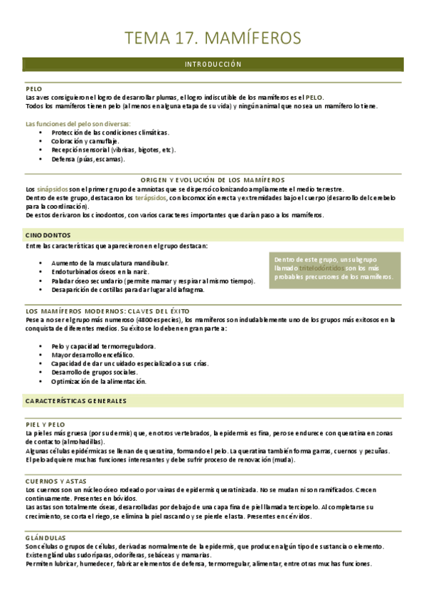 Miniatura del documento T.17.-Mamiferos.pdf