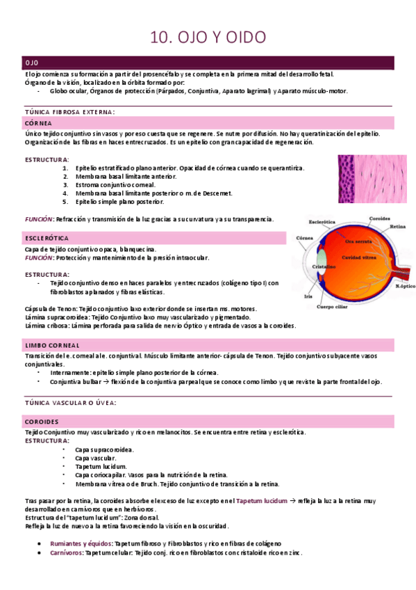Miniatura del documento Ojo y oido.pdf