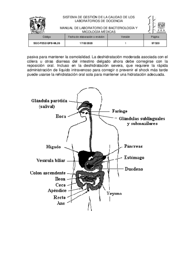 Miniatura del documento Manual-de-laboratorio-de-bacteriologia-y-micologia-medicas-1-7.pdf