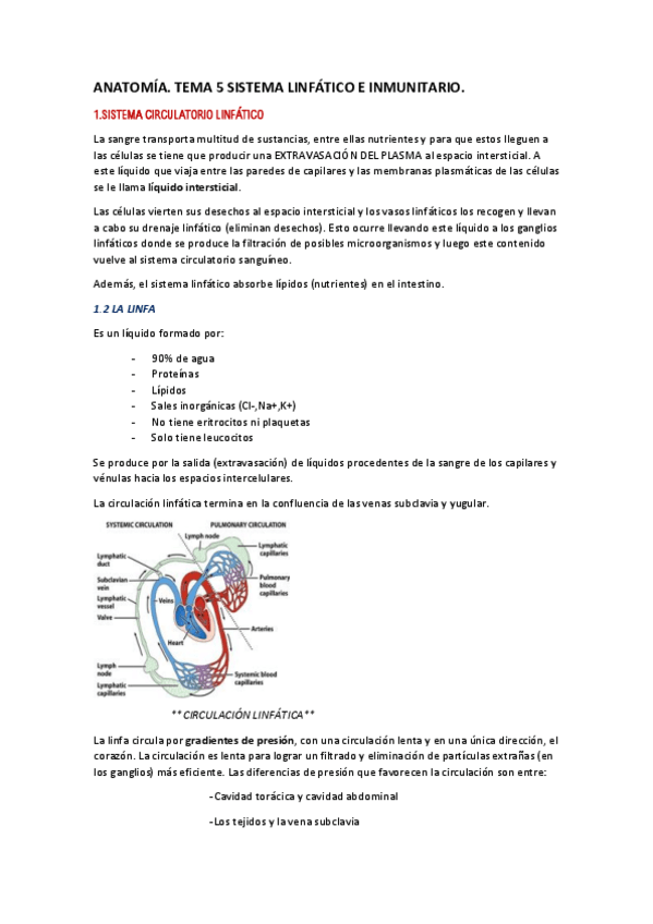 Miniatura del documento TEMA-5-sistema-linfatico-e-inmunitario.pdf