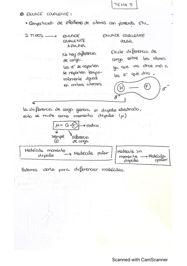 Miniatura del documento TEMA-5-Q.I..pdf