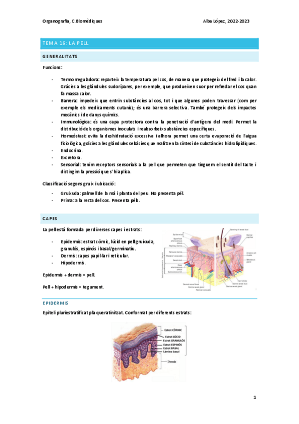 Miniatura del documento Tema-16-la-pell.pdf