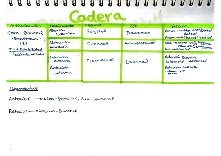 Miniatura del documento Tabla-Musculos-inferiores.pdf