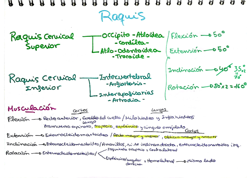 Miniatura del documento Tablas-Raquis.pdf