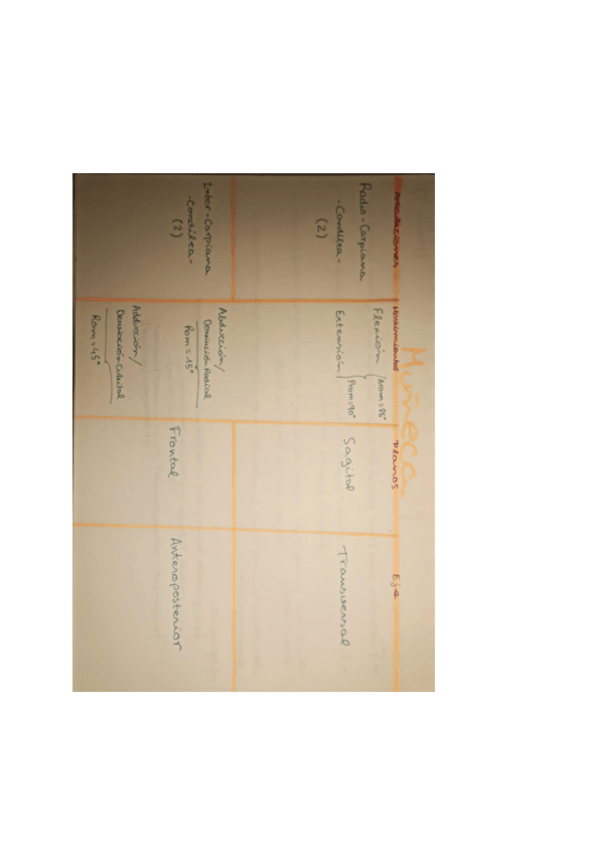 Miniatura del documento Fotos-tablas-de-los-principales-conceptos-relativos-con-el-movimiento-de-la-muneca.pdf