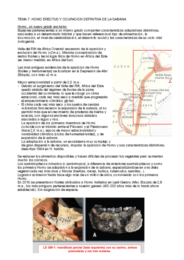 Miniatura del documento SEGUNDO-PARCIAL.pdf