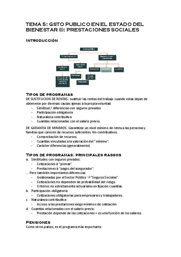 Miniatura del documento TEMA-5-Sector-Publico.pdf