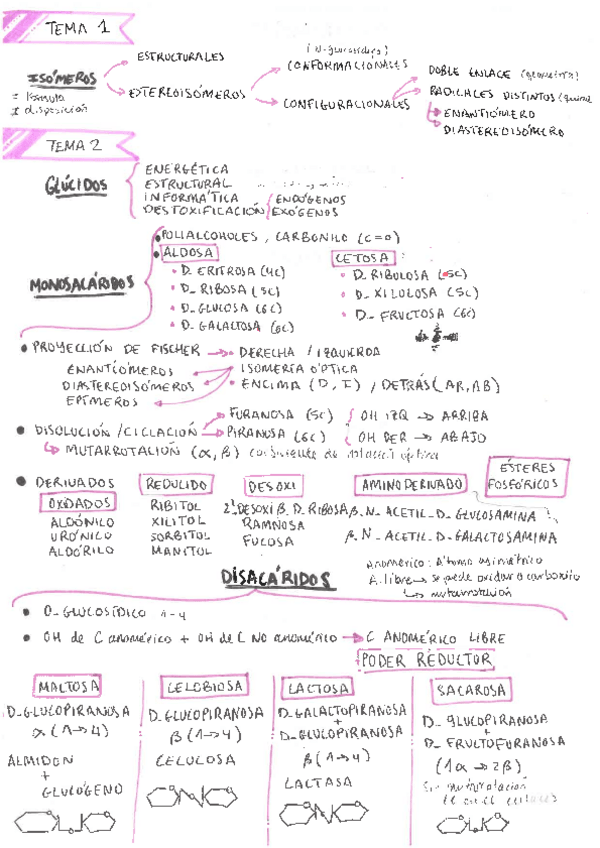 Miniatura del documento Resumen-de-algunos-temas-de-bioquimica-1a-parte.pdf