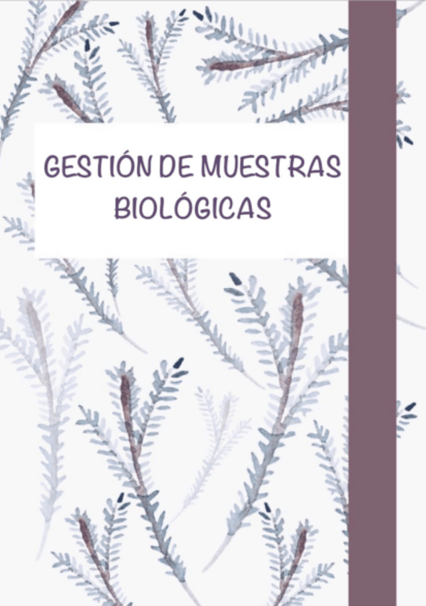 Miniatura del documento T.2-Historia-clinica.pdf