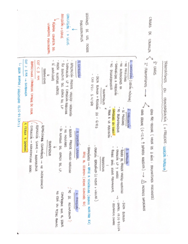 Miniatura del documento Traumatismos.pdf