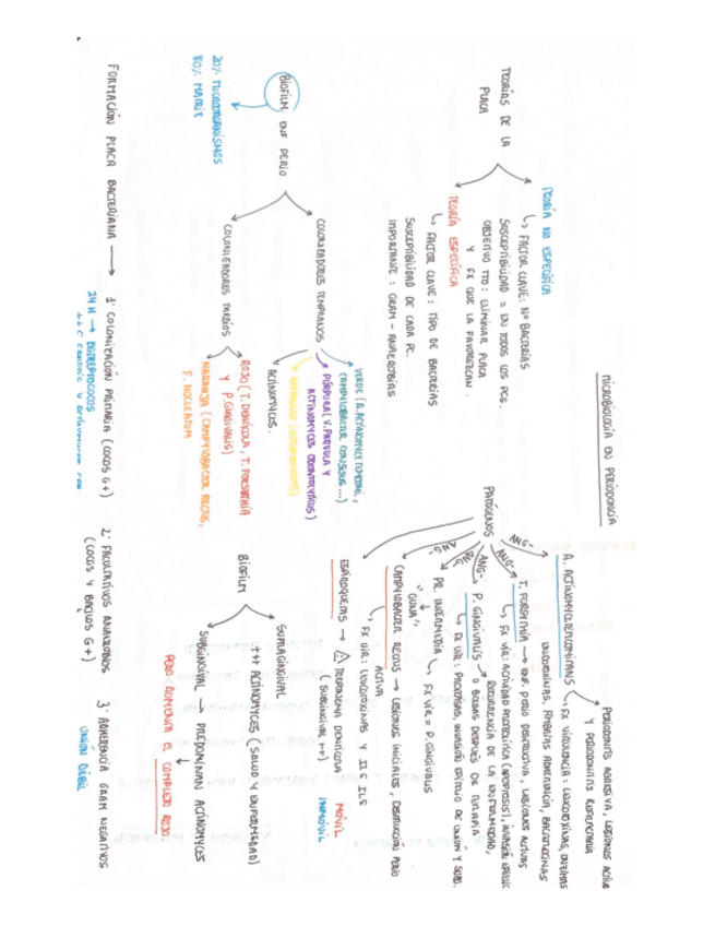 Miniatura del documento MICROBIOLOGIA-EN-PERIODONCIA.pdf