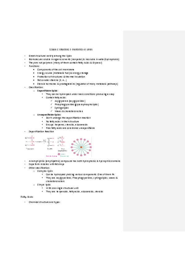 Miniatura del documento Lesson-8-structure-and-properties-of-lipids.pdf