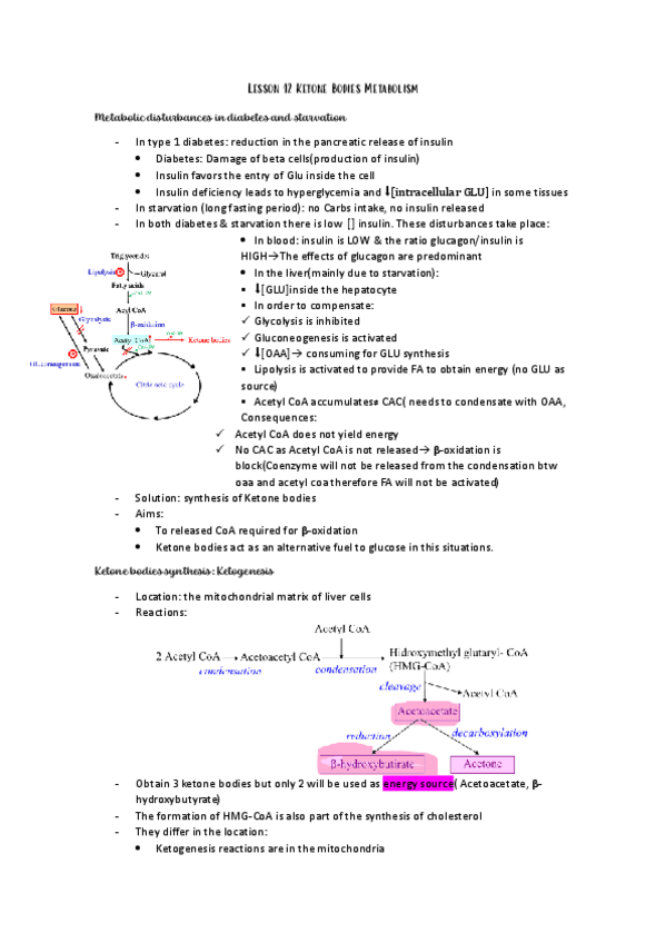 Miniatura del documento Lesson-12-Ketone-Bodies-Metabolism.pdf