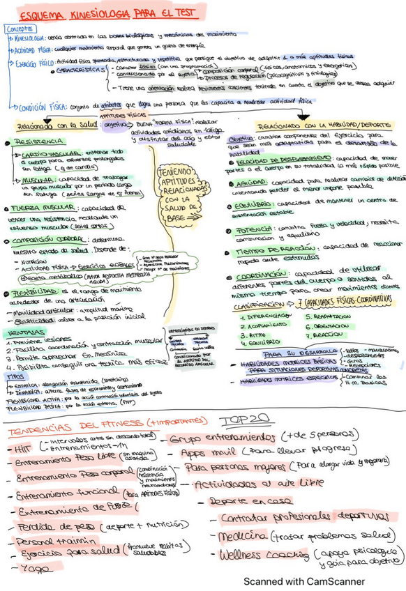 Miniatura del documento ESQUEMA-DE-TODO-KINESIOLOGIA.pdf