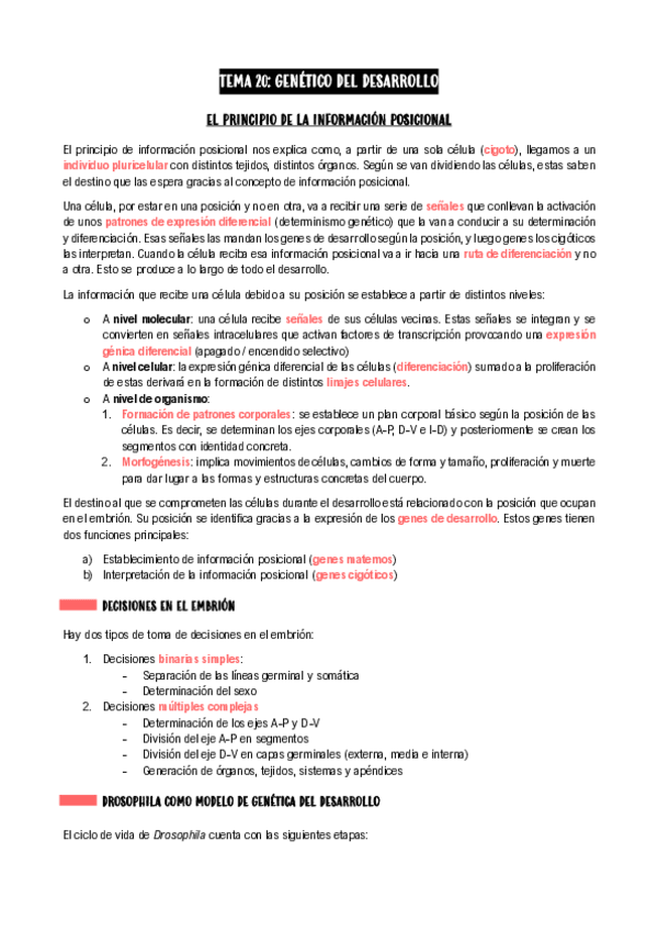 Miniatura del documento Tema-20-Genes-y-evolucion.pdf