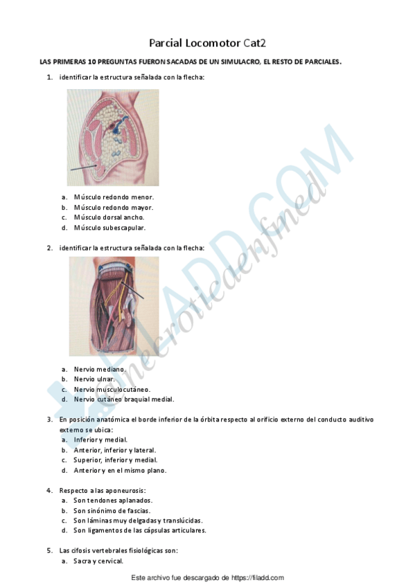 Miniatura del documento 1.pdf