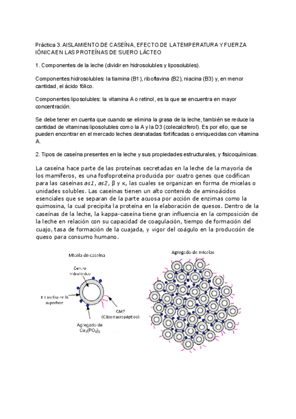 Miniatura del documento Cuestionario-3.-Aislamiento-de-proteinas.pdf
