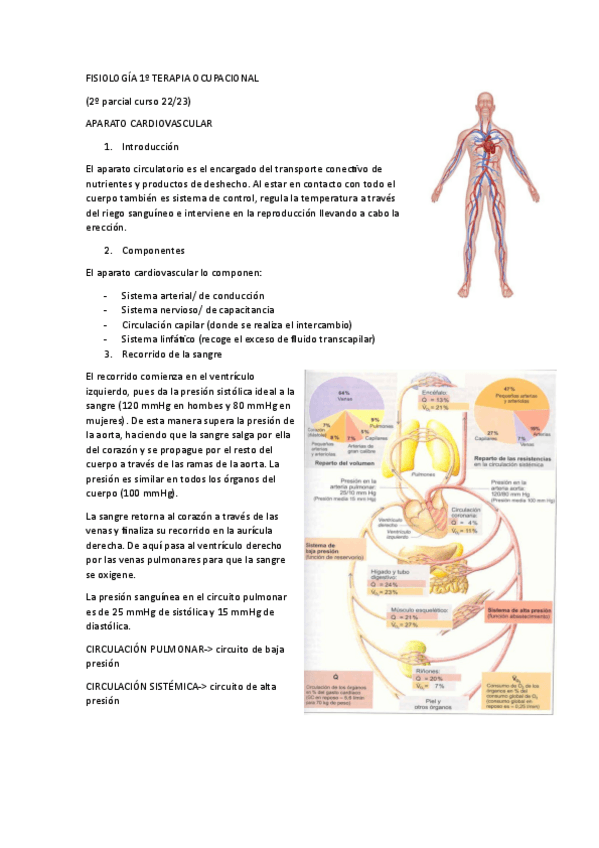Miniatura del documento AP.-CARDIOVASCULAR-FISIOLOGIA.pdf