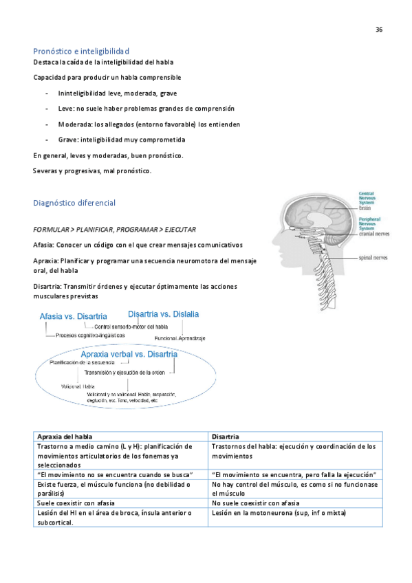 Miniatura del documento Correcion-Disartria.pdf