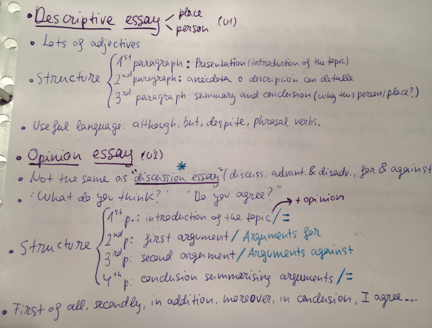 Miniatura del documento FAA14A2D-BD1B-456A-AA71-69F27F18DEA4.jpeg