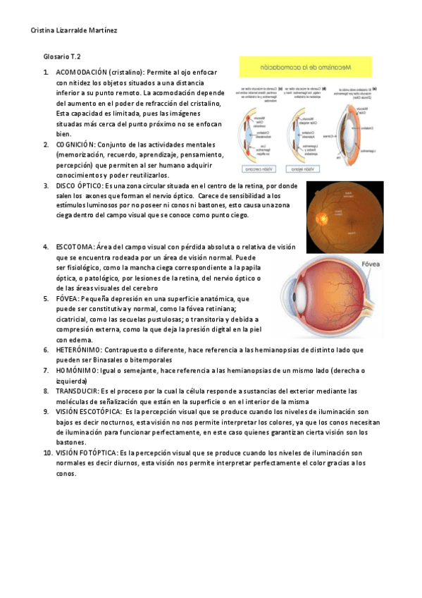 Miniatura del documento Glosario.pdf