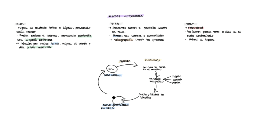 Miniatura del documento ASCARIS-LUMBRICOIDES.pdf