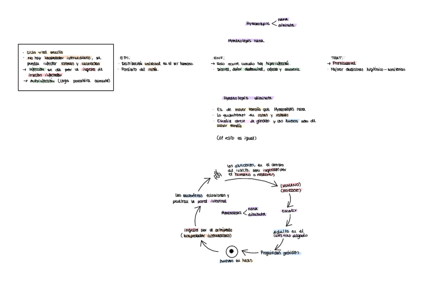 Miniatura del documento HYMENOLEPIS.pdf