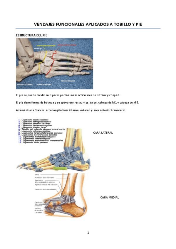 Miniatura del documento SEMINARIO 8 vendajes funcionales pie y tobillo BIEN.pdf