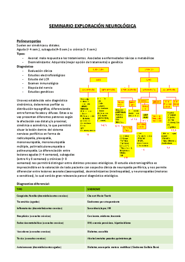 Miniatura del documento SEMINARIO 10 Exploración neurológica BIEN.pdf