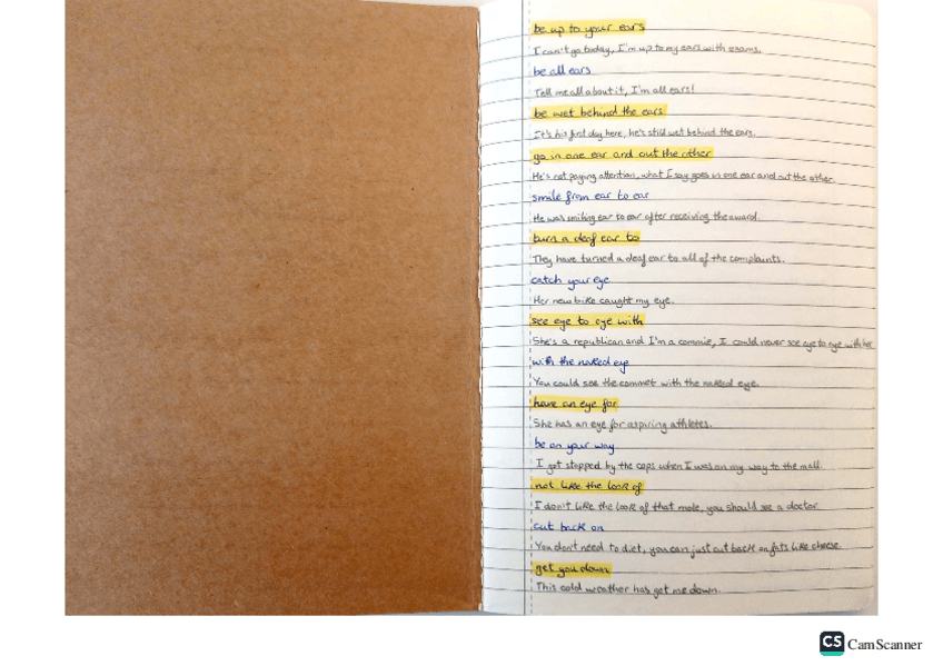 Miniatura del documento IDIOMS.pdf