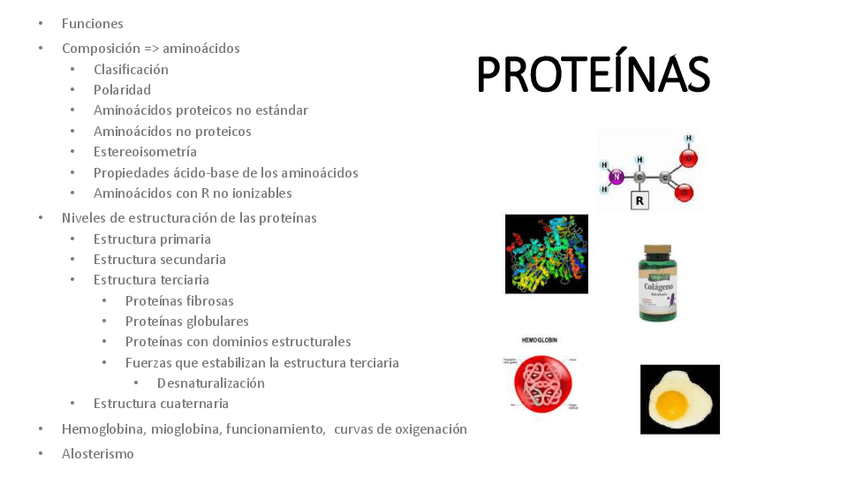 Miniatura del documento 1.-Proteinas.pdf