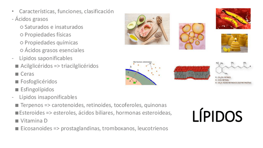 Miniatura del documento 3.-Lipidos.pdf