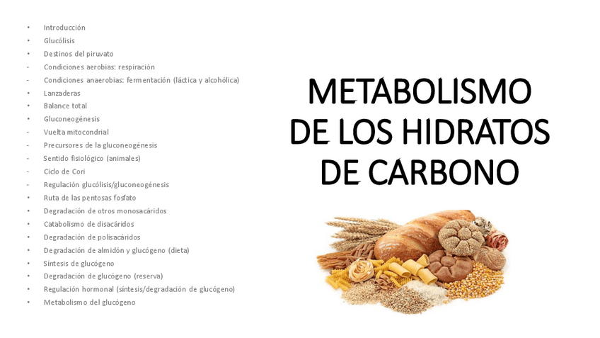 Miniatura del documento 7.1.-Metabolismo-de-los-hidratos-de-carbono.pdf
