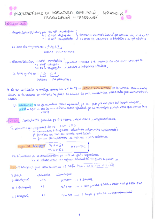 Miniatura del documento Importantisimo-de-teoria-2o-parcial.pdf