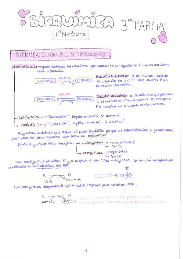 Miniatura del documento Bioquimica-3a-parcial.pdf