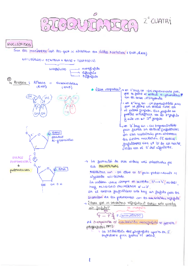 Miniatura del documento Bioquimica-2a-parcial.pdf