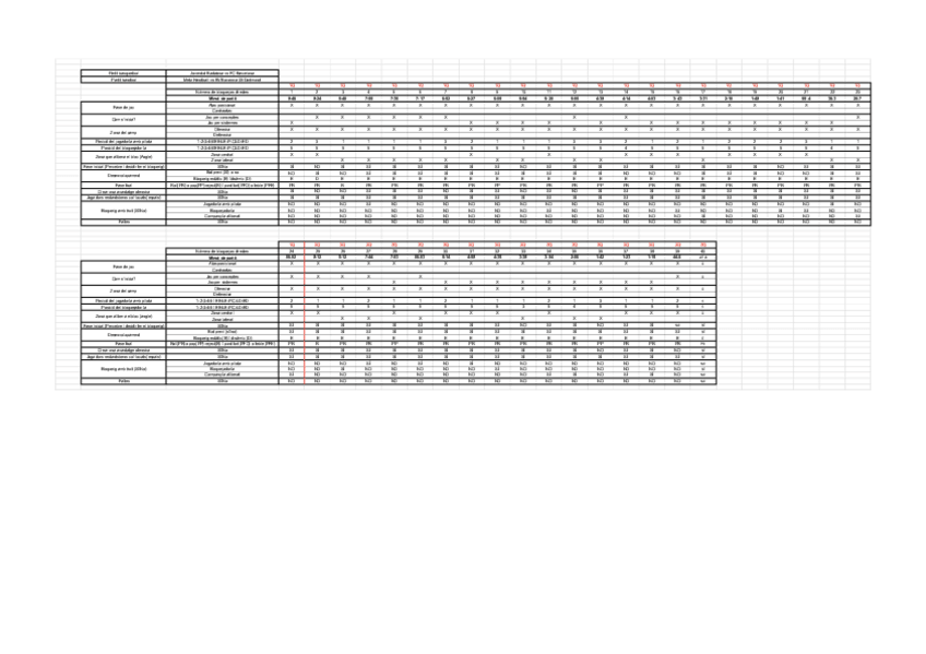 Miniatura del documento Graella-recull-de-dades-Basquet.pdf