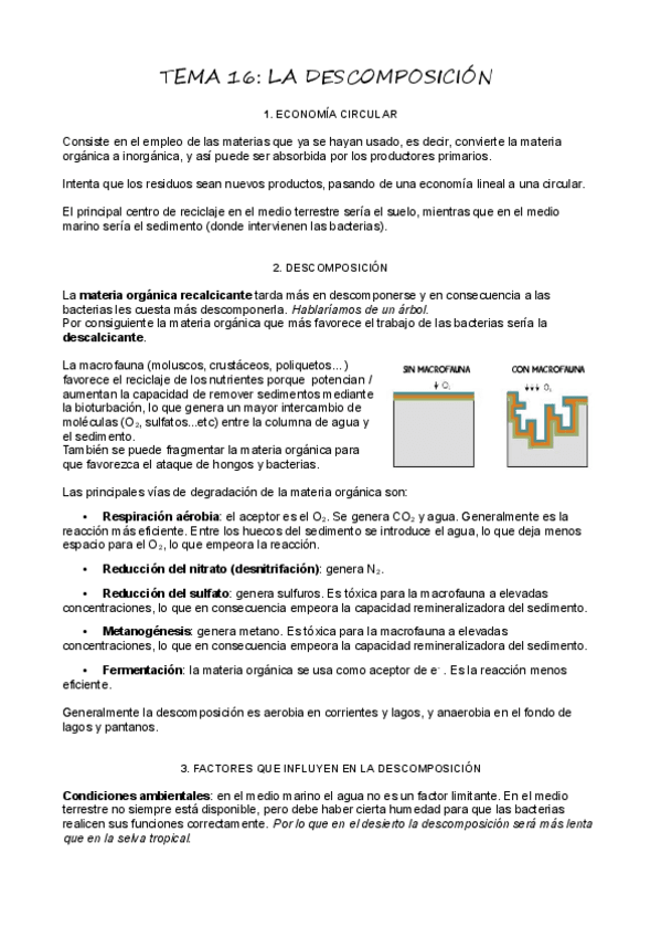 Miniatura del documento T16-Descomposicion.pdf
