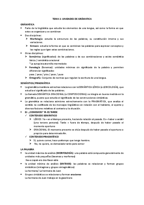 Miniatura del documento TEMA-1-UNIDADES-DE-GRAMATICA.pdf