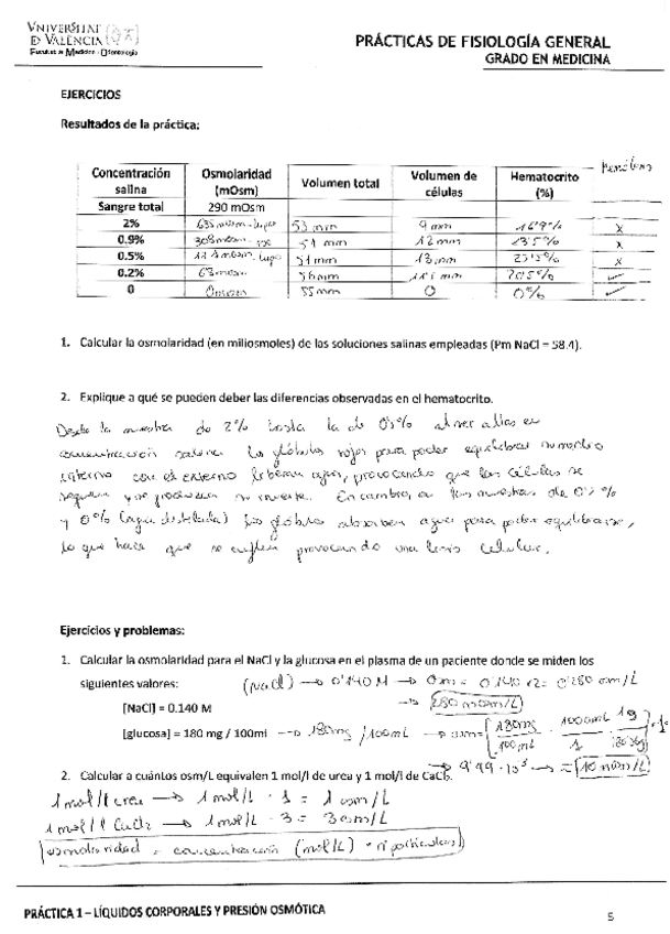 Miniatura del documento practica-1.pdf
