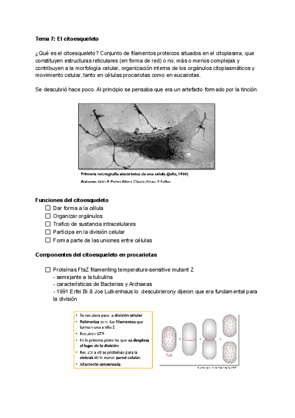 Miniatura del documento Tema-7-8-9.pdf