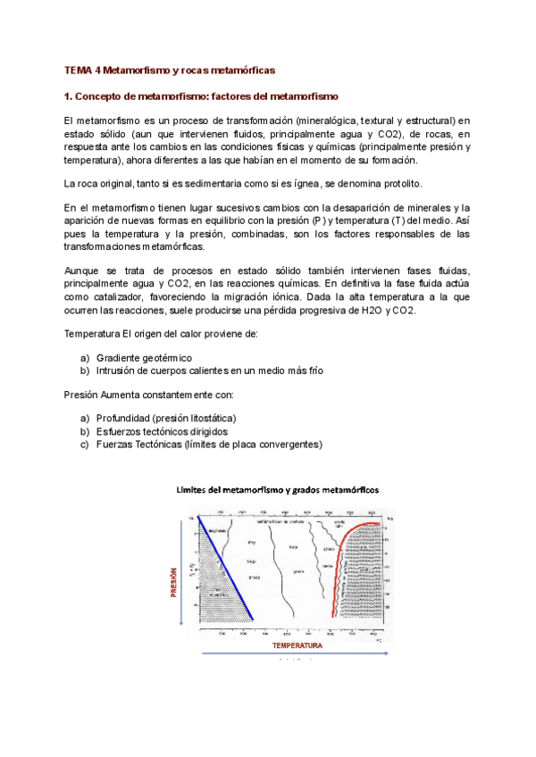 Miniatura del documento TEMA-4-Metamorfismo-y-rocas-metamorficas.pdf
